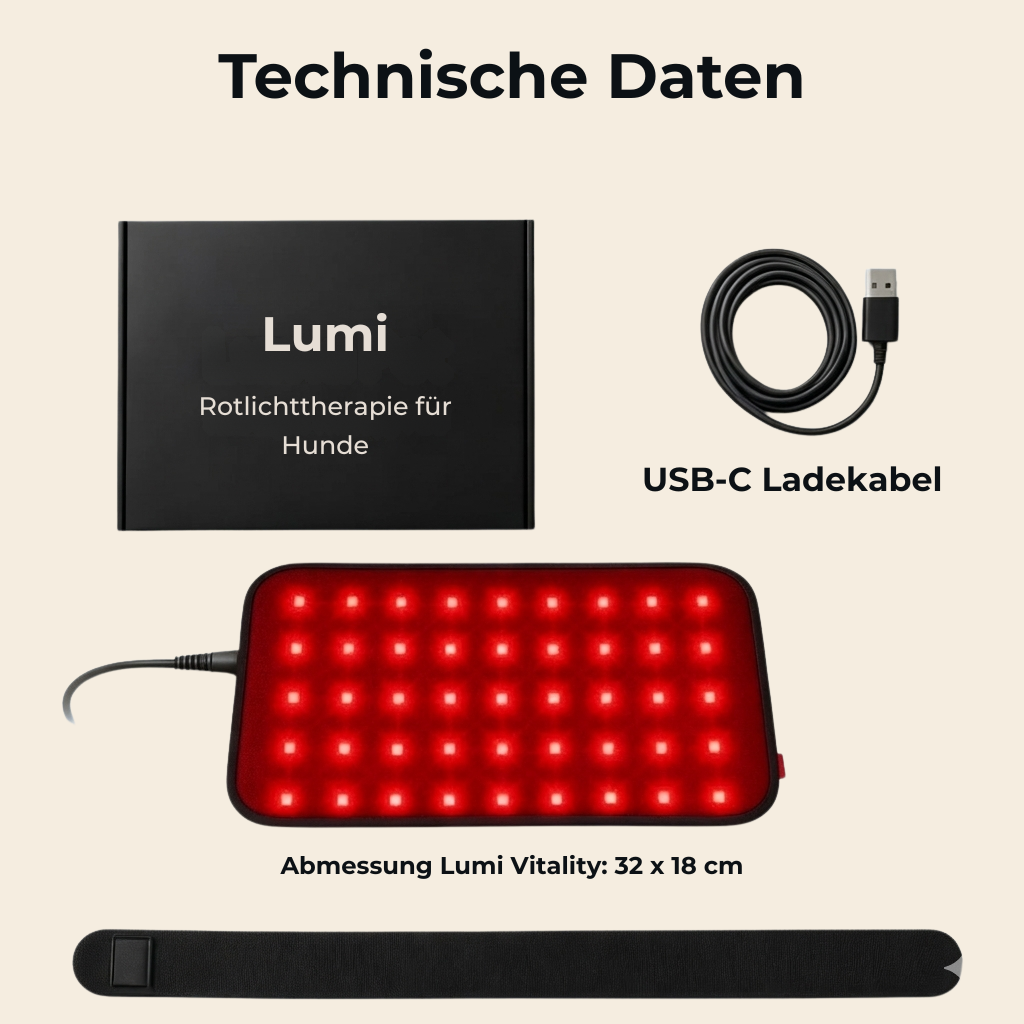 Lumi Vitality - Natürliche Unterstützung für Hunde